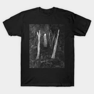 The Old Man in the Woods! T-Shirt